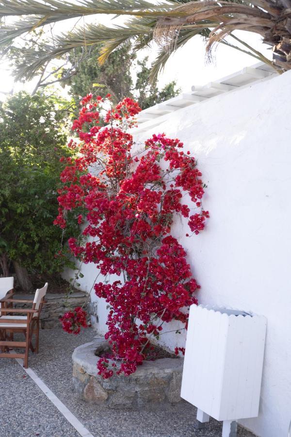 Petit Andromeda Mykonos I Aparthotel Mykonos Town Exterior foto